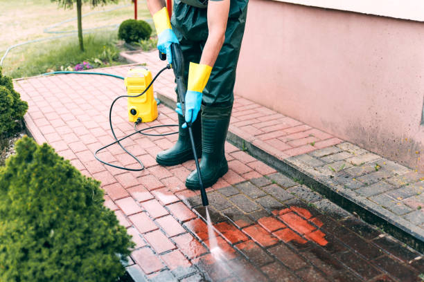 Best Solar Panel Cleaning  in Waverly, OH